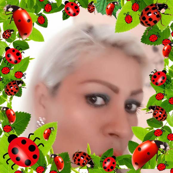 Meet your Posher, America - Picture 1 of 1